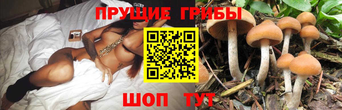 Туймазы  Галлюциногенные грибы GOLDEN TEACHER  Галлюциногенные грибы прущие грибы  Вход с VPN 