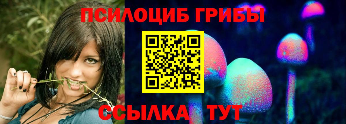 Псилоцибиновые грибы прущие грибы Туймазы